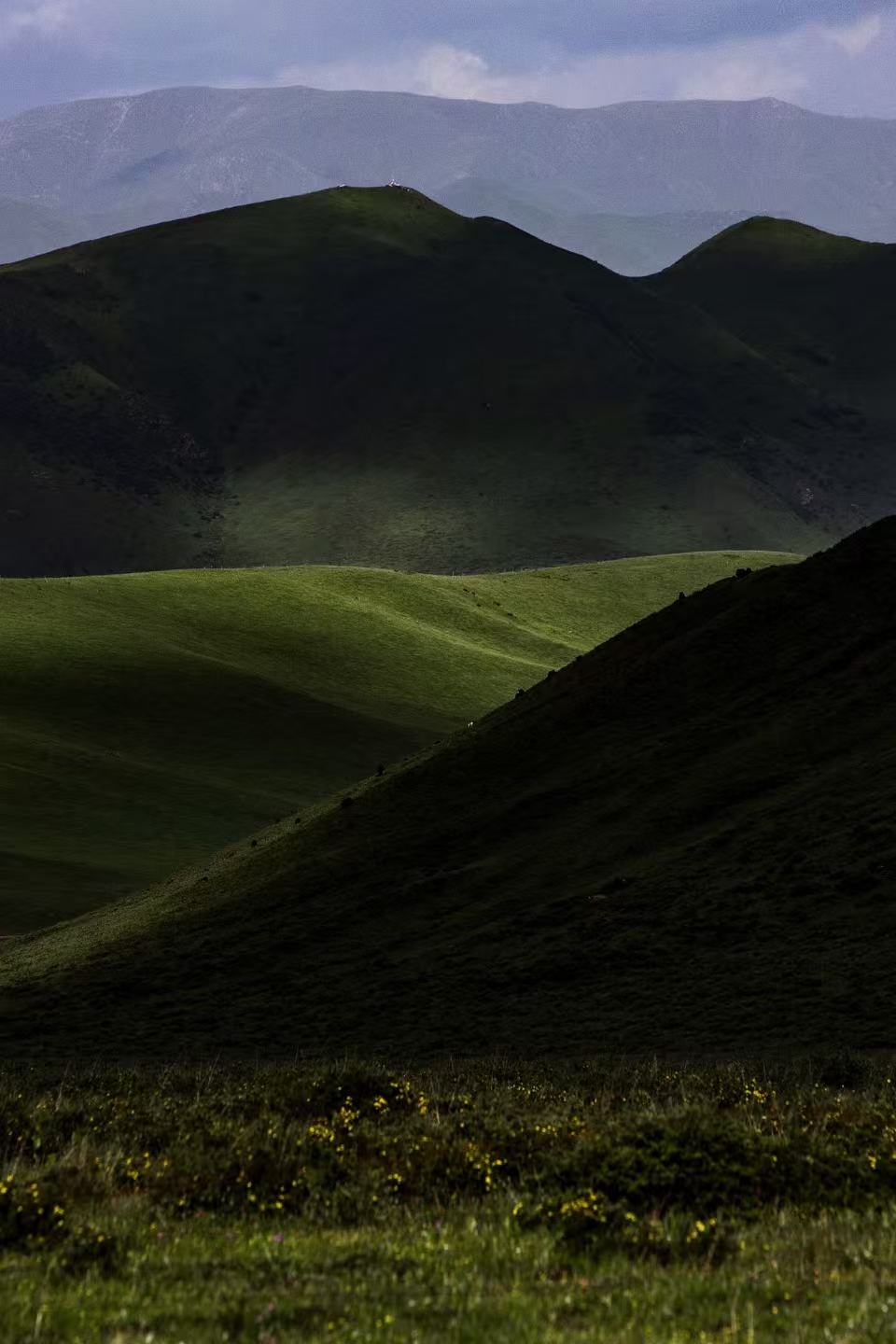 图片_20260302164819_1687_87